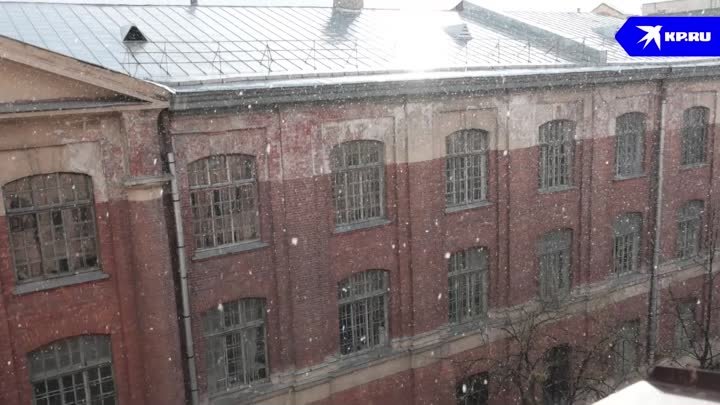 Майский снегопад в Петербурге