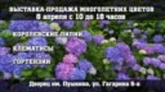 Цветы 01.04.24 (1)
