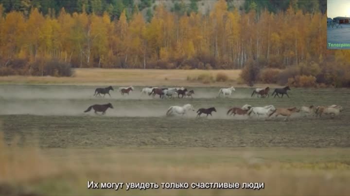 Скоро на телеграмм канале Нижнеянск.