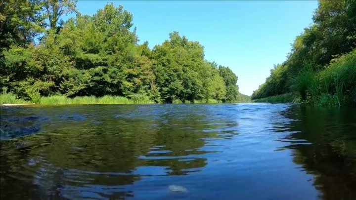 Песня остаётся с человеком