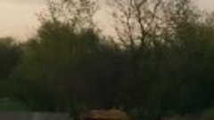 Падение Ту-22 в Ставрполье