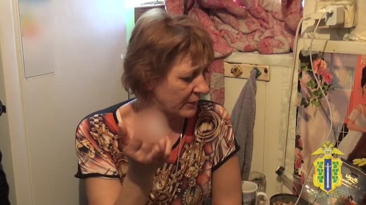 В МВД показали видео задержания жительницы Липецкой области