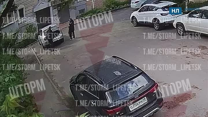 В Липецке показали видео падения огромного дерева на людей и автомобили