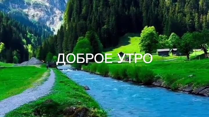 #доброеутро #сдобрымутром