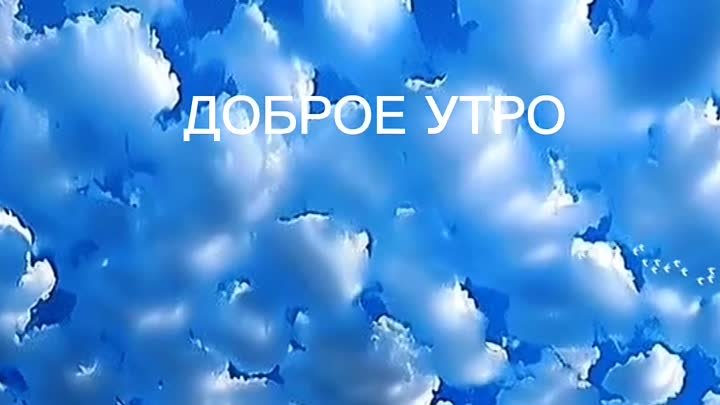 #доброеутро #сдобрымутром