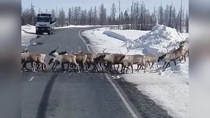 фактрум Вот это пробка😂😂😂