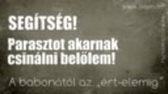 Segítség, parasztot akarnak csinálni belőlem!