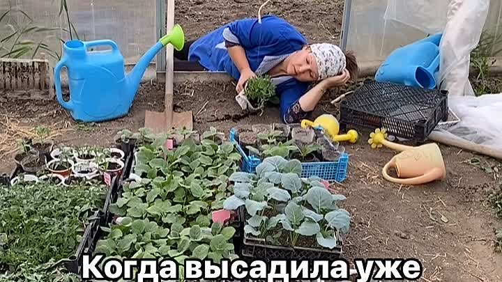 Не всю рассаду еще посадила https://ok.ru/housegarden