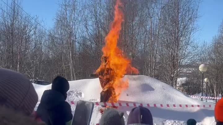 Смотри библиотеку. Библиорепортаж