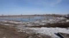 Видео от Беляевского района
