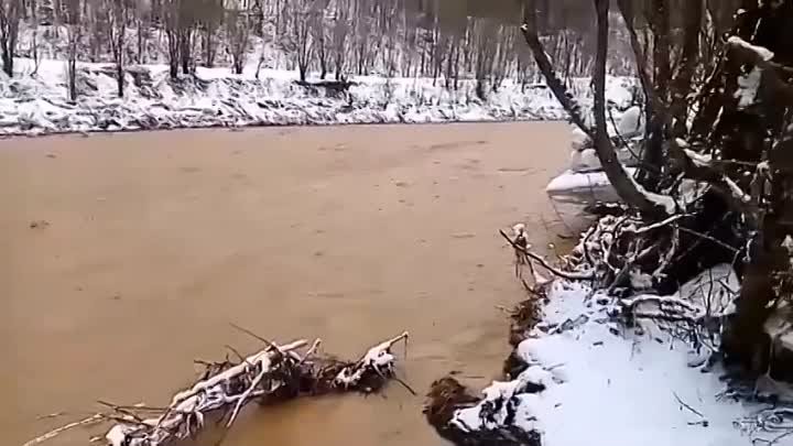 Видео от Чистые Реки-Кузбассы