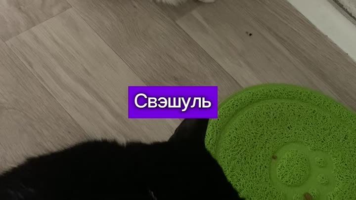 Наглость — второе счастье 😊