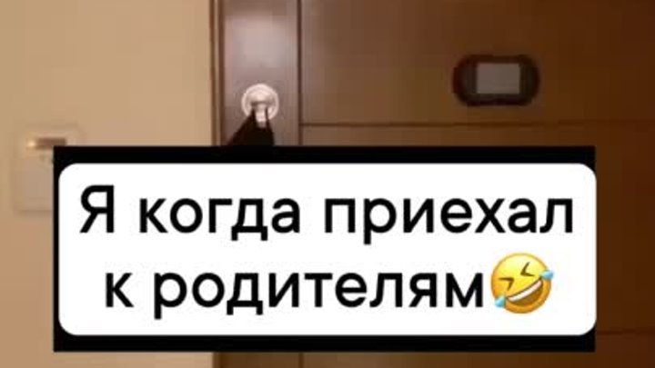 И вынес весь дом😆