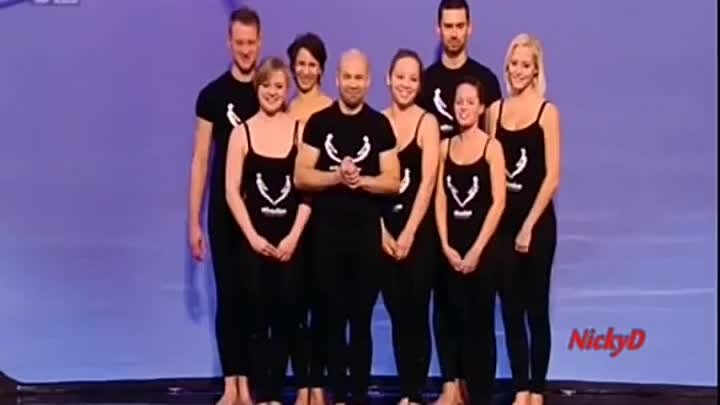 Attraction (Shadow Theatre Group) 1st Audition Britain's Got Talent