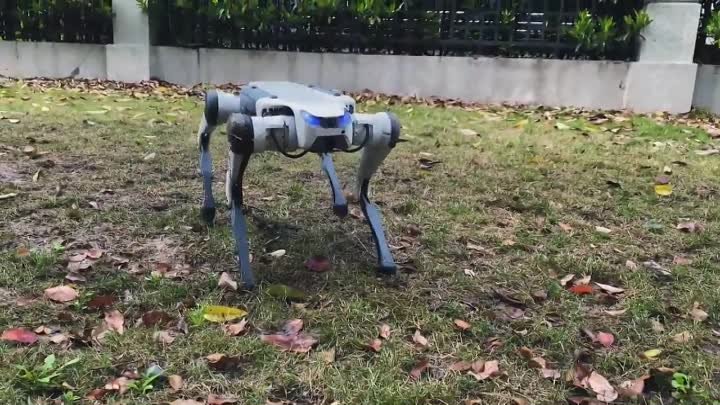 Deep Robotics Robot Dog