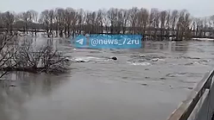 Река Ишим в Северном Казахстане (9 апреля 2024).mp4
