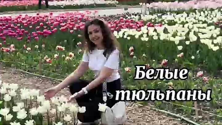 БЕЛЫЕ ТЮЛЬПАНЫ 🌷 Наталья Дозорова