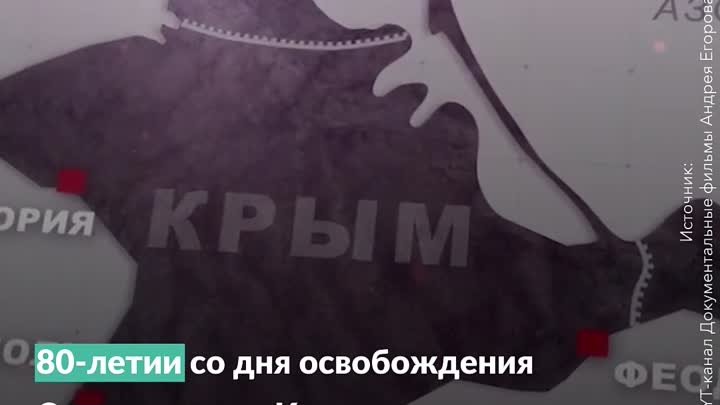 В российских школах и колледжах вновь прошли “Разговоры о важном”