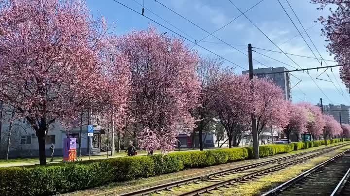 Видео опубликовано через РедакцияСRM