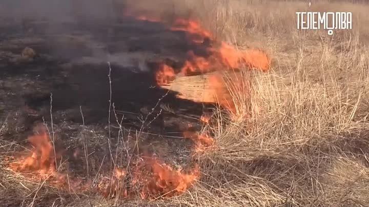 МЧС ПРЕДУПРЕЖДАЕТ