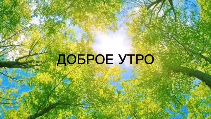 Доброе утро