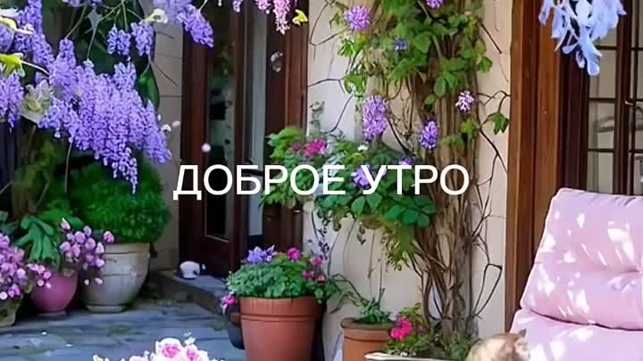 Доброе утро