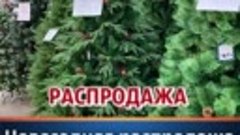 Распродажа новогодних подарков в &quot;Пакетном дворе&quot;