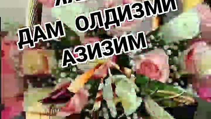 VID_20240415_025444_964.mp4