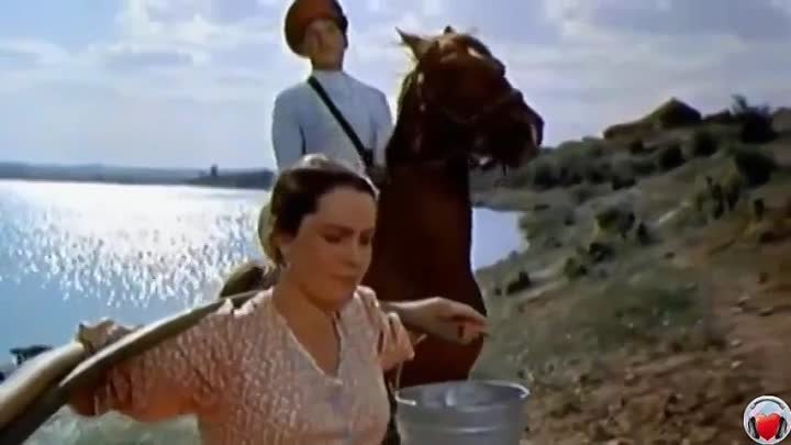 Кадры из тихого дона Кадры из тихого дона