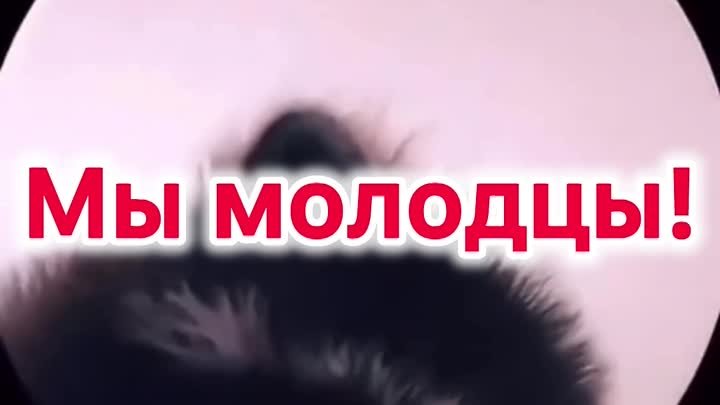 Мы молодцы!