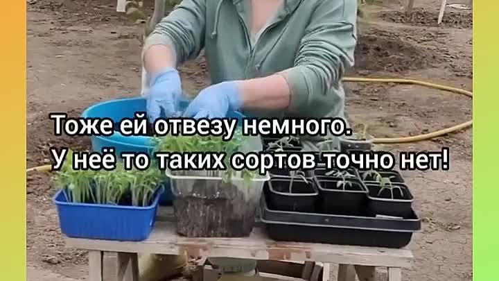 Главное - придерживаться плана😁