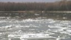 На реке давно уж лед растаял