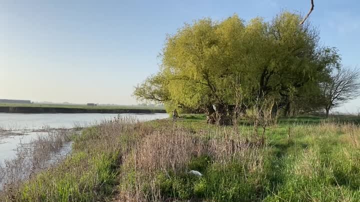 ВСЕ РВАНУЛИ НА ВОБЛУ, А МЫ С ОТЦОМ НА САЗАНОВ. ЭТО ПРОСТО ЖОР КАКОЙ- ...