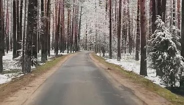 Нарочанский курортный посёлок