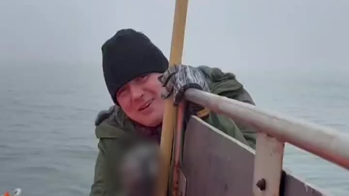 Рыбаки спасли сову от стаи агрессивных чаек на Сахалине