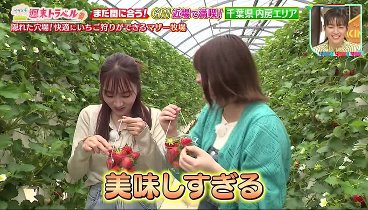 王様のブランチ 240504 動画 千葉の旅 百万本のネモフィラ | 2024年5月4日