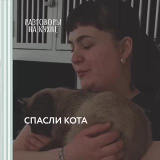 Спасли кота