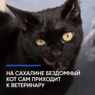 #добрые_новости_АВЗ