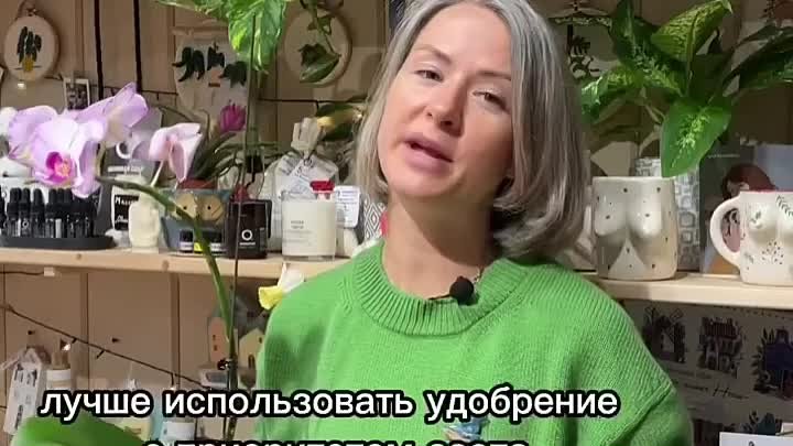 Уход за отцветающей орхидеей