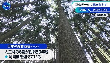 ＷＢＳ 240507 動画 ドコモの“見守り”新サービス！祖父母と孫をつなぐ | 2024年5月7日