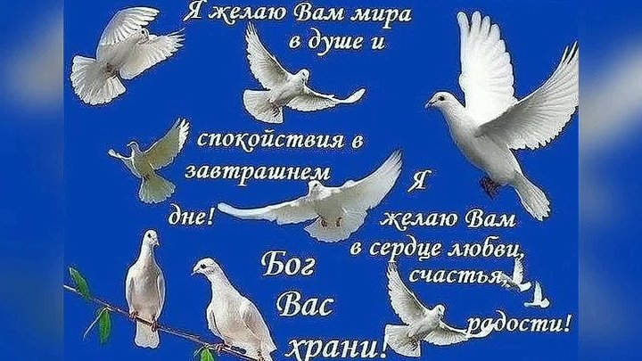 Мира и добра картинки красивые с пожеланиями Мира и добра картинки красивые с пожеланиями