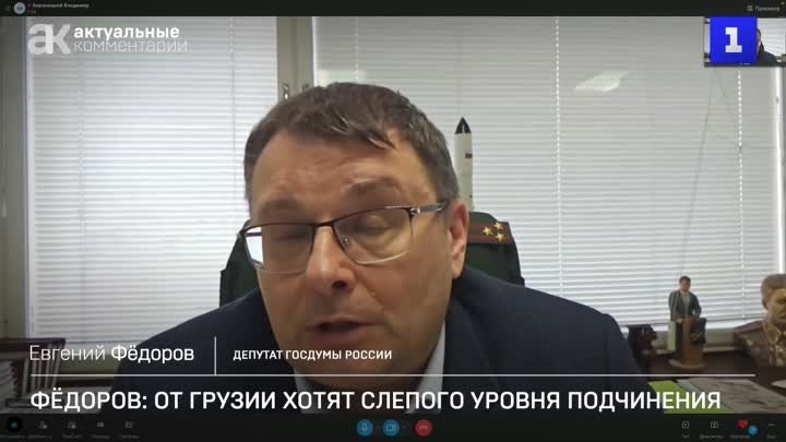 Евгений Фёдоров: США добиваются от Грузии украинского уровня подчинения