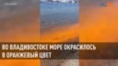 Во Владивостоке море приобрело яркий оранжевый цвет