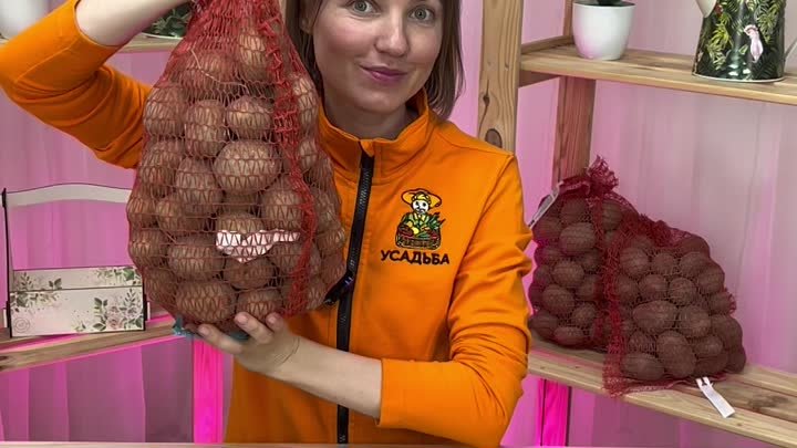 Репродукция картофеля: что это такое?🥔Усадьба-Семена | usadba-semena.ru