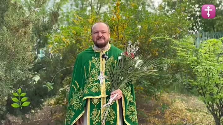 Со Светлым праздником Входа Господа нашего Иисуса Христа в Иерусалим ! 🌿