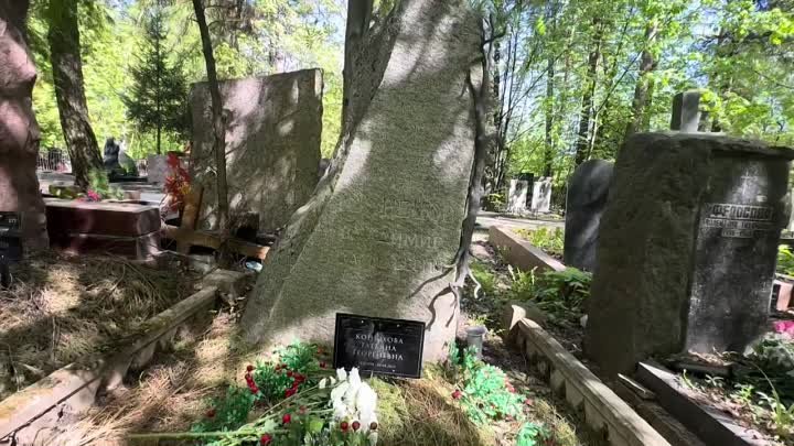 Очень скромная могила актрисы Татьяны Конюховой … Кунцевское кладбище _ май 2024