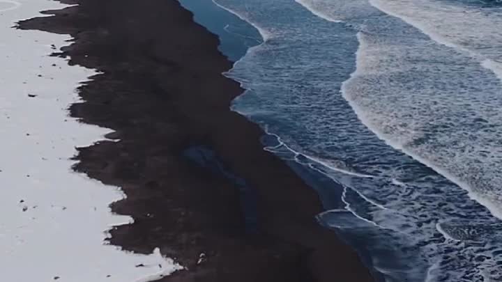 🔥 Халактырский пляж на Камчатке.