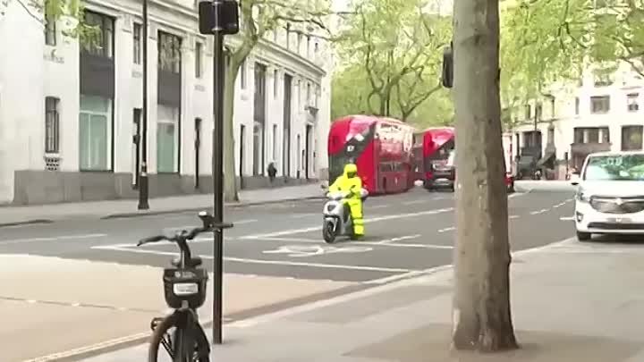 Cal însângerat galopează pe străzile Londrei