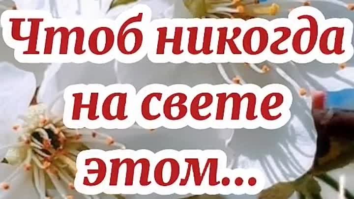 ДЕНЬ ПОБЕДЫ! 