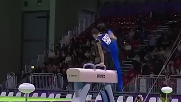 Гамлет Манукян чемпион Европы по спортивной гимнастике среди молодежи.